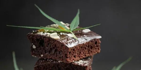 Frisch gebackene Hasch-Brownies auf einem Teller – Rezept und Anleitung für saftige Cannabis-Brownies.