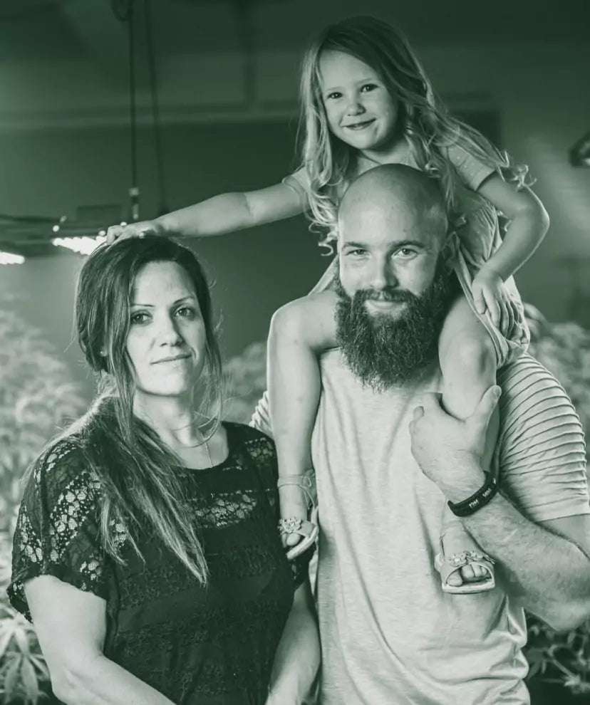 Über uns - Hanfstecklinge kaufen, hochwertige Hanfpflanze und erstklassige Cannabis Stecklinge bei Kraftstamm.